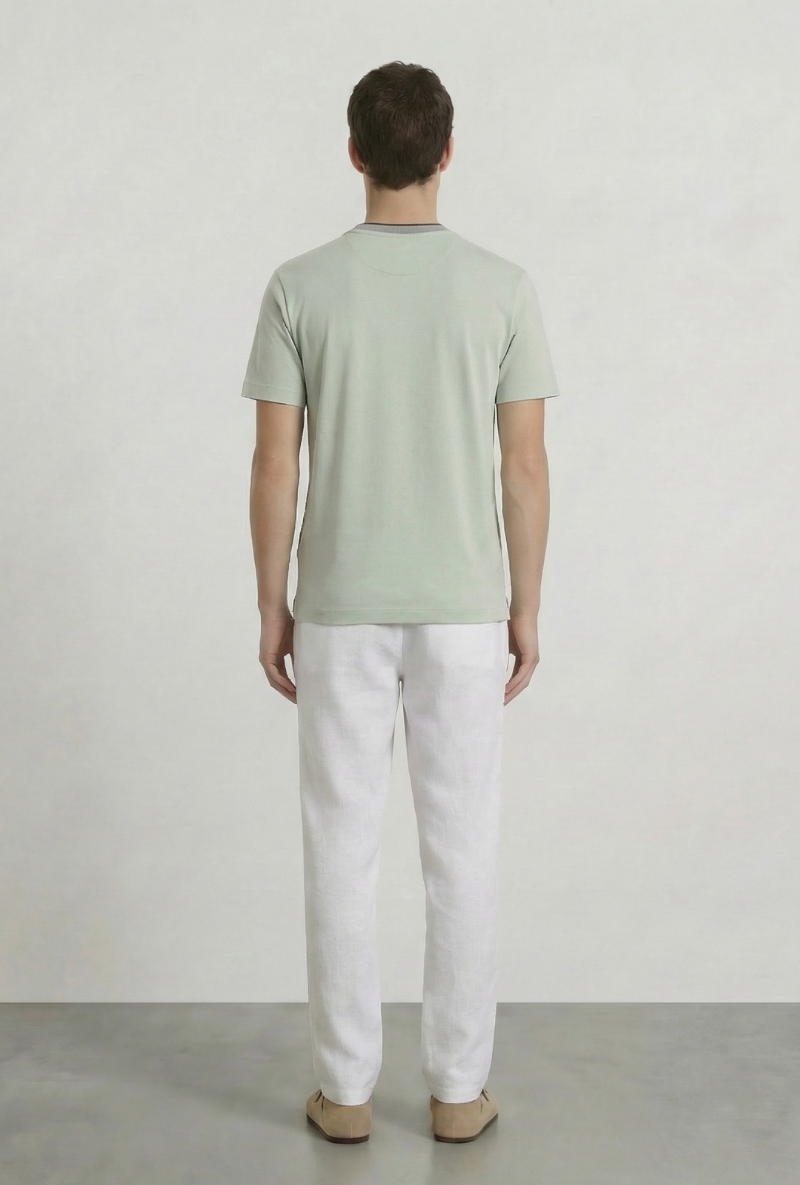 Back image of a model wearing Deep ronan round neck tshirt in light green, by brand Deep
