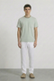 Front image of a model wearing Deep ronan round neck tshirt in light green, by brand Deep