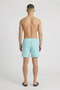 Back image of a model wearing the Deep sharky swimshorts in mint, by brand Deep