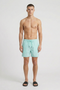 Front image of a model wearing Deep sharky swimshorts in mint, by brand Deep