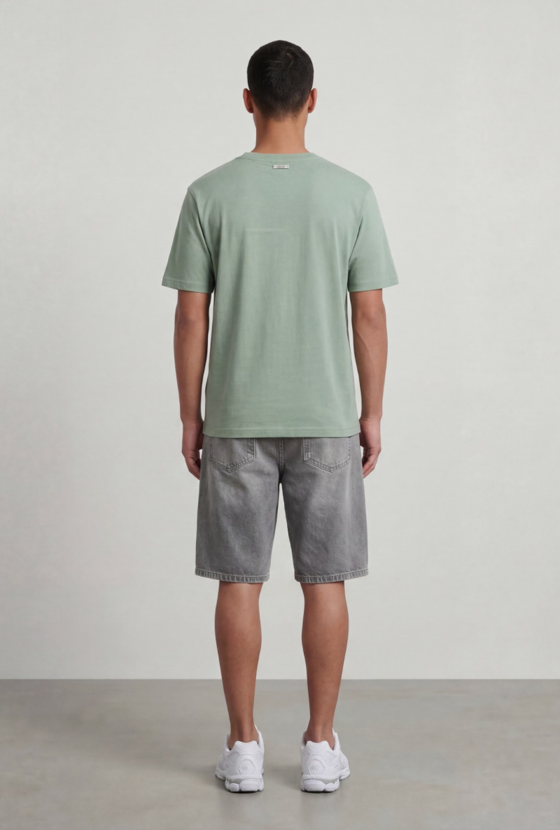 Back image of a model wearing Deep troy s/s tshirt in khaki, by brand Deep