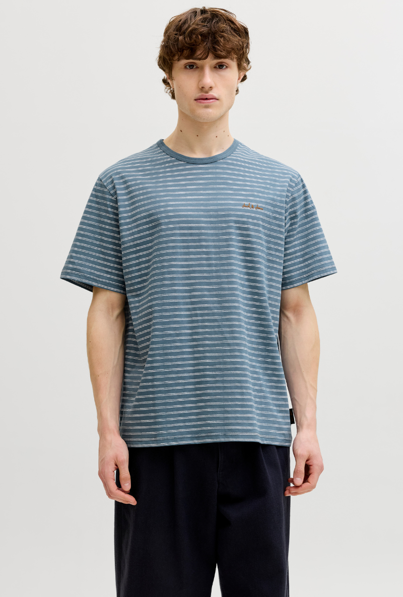 Front image of Daytona striped shortsleeve tee in blue, by brand Jack&jones