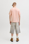 Back image of the Montauk chestie shortsleeve tee in peach, by brand Jack&jones