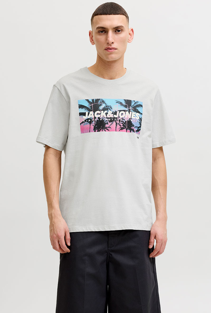 Front image of a model wearing Indiana tee ss crew neck in beige, by brand Jack&jones