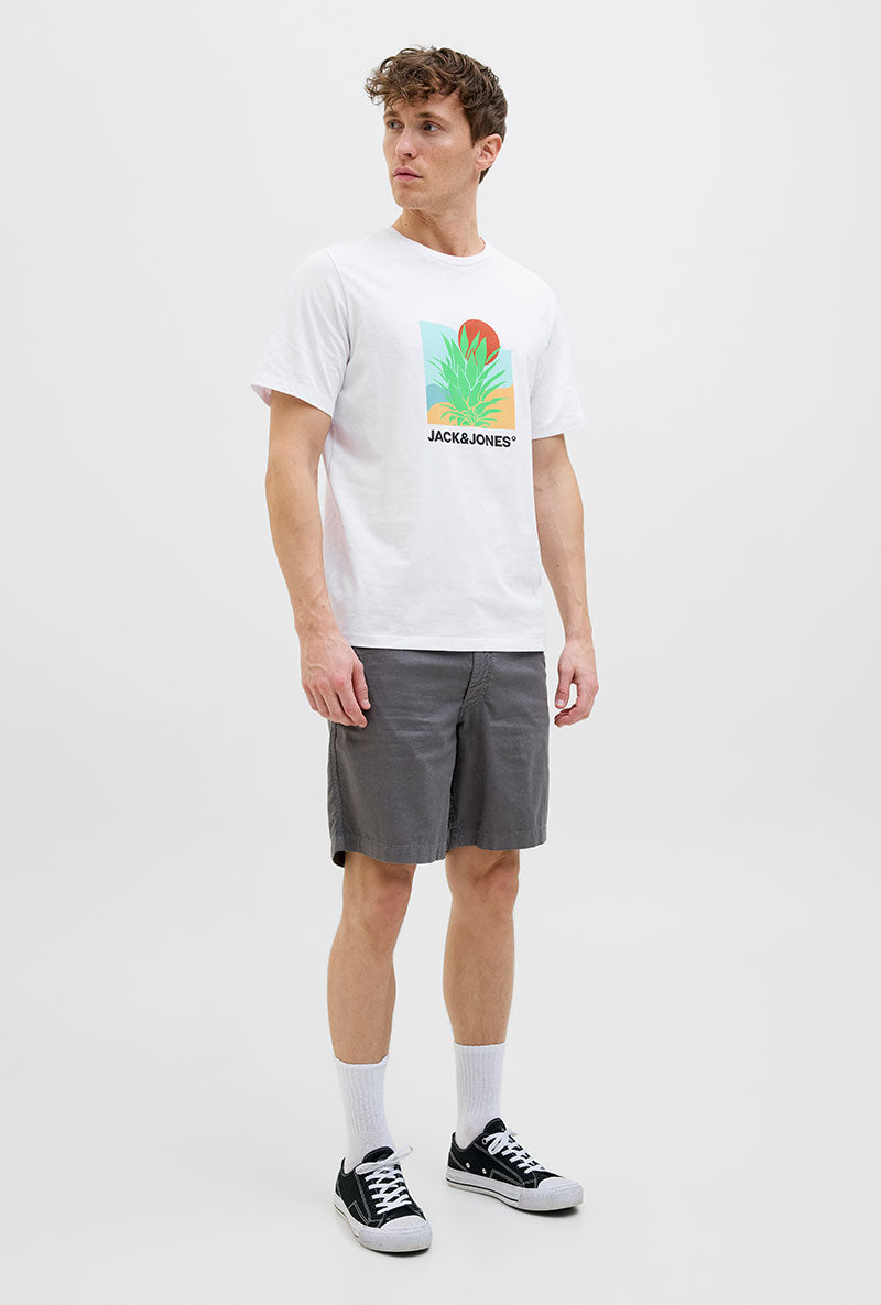 Front image of a model wearing Jack and jones barbados tee in white, by brand Jack&jones