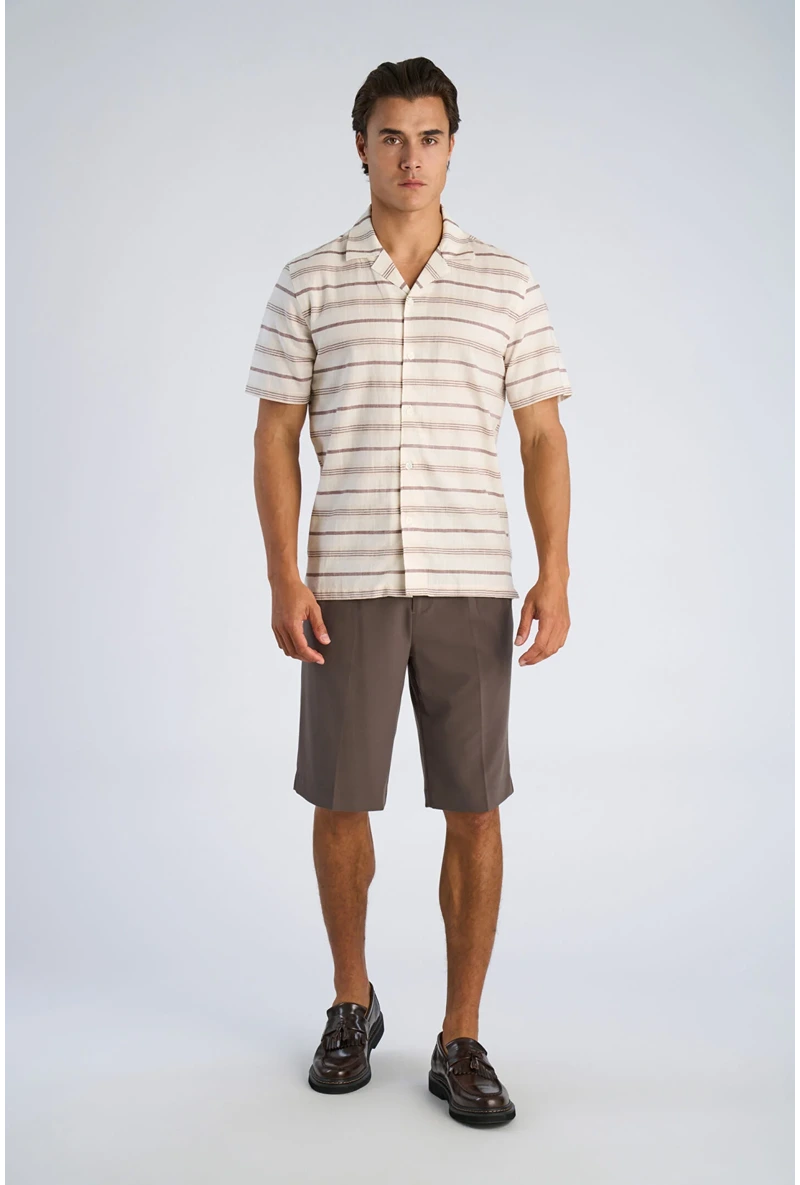 Front image of a model wearing Striped structure s/s shirt in brown, by brand Lindbergh
