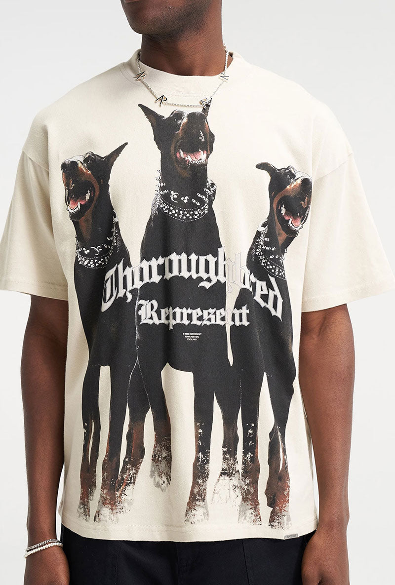 Front image of a model wearing Thoroughbread t in off white, by brand Represent