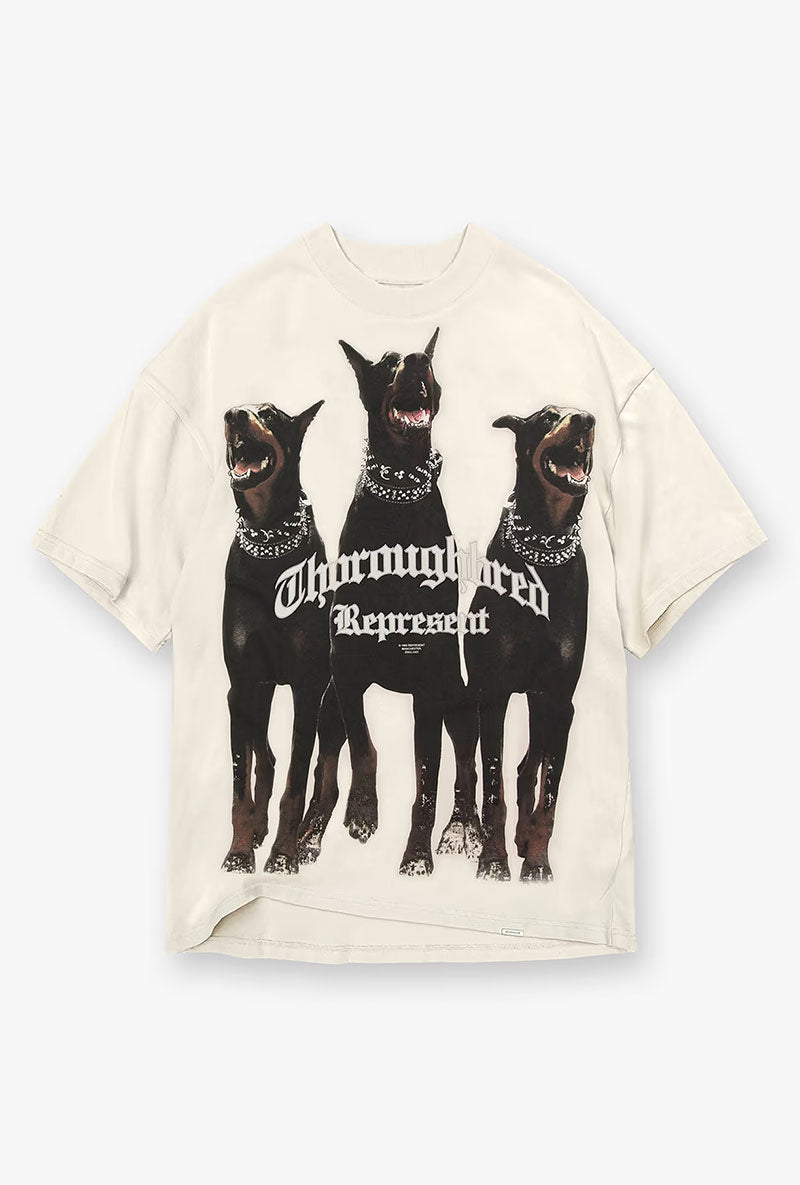 Front image of Thoroughbread t in off white, by brand Represent