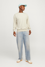 Image of JACK AND JONES CHARGE SWEATSHIRT in beige, by brand JACK&JONES