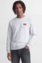 Front image of a model wearing Rush sweat crew neck sweatshirt in light grey, by brand Jack&jones