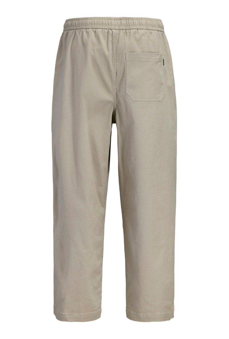 Product image of Jack and jones stevan dylan jogger in stone, by brand Jack&jones
