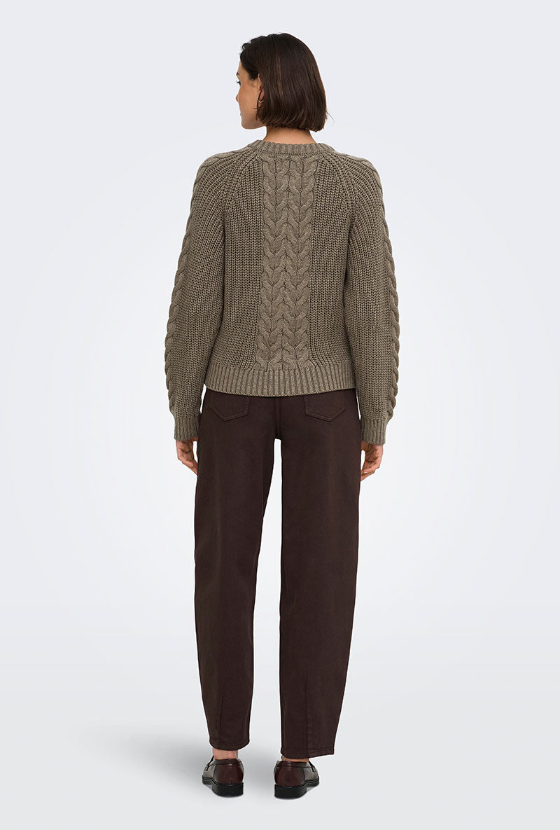 Back image of a model wearing Carmella ls cable knit cardigan in brown, by brand Jacqueline de yong