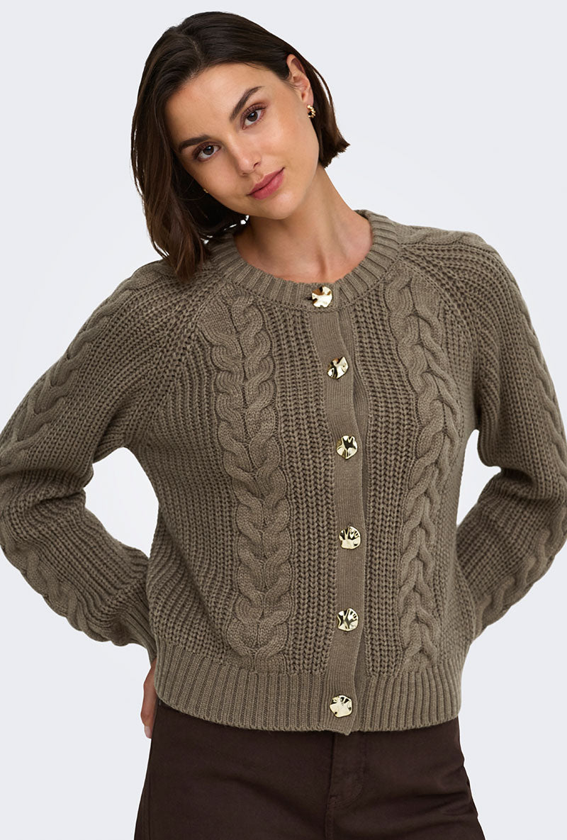 Front image of a model wearing Carmella ls cable knit cardigan in brown, by brand Jacqueline de yong