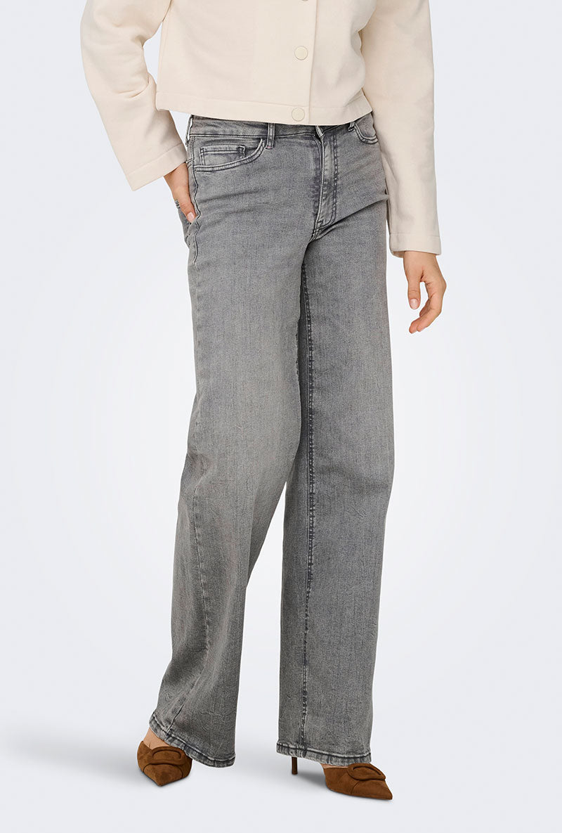 Front image of a model wearing Felina hw wide jeans in grey, by brand Jacqueline de yong