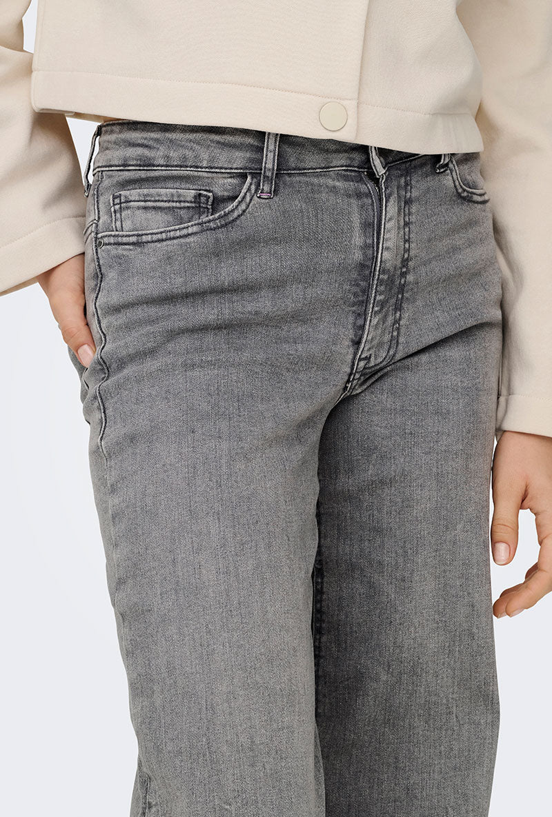 Front image of a model wearing Felina hw wide jeans in grey, by brand Jacqueline de yong