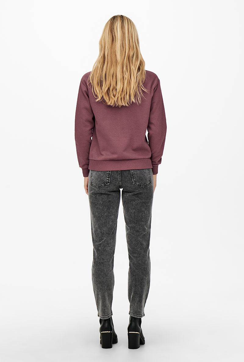Back image of a model wearing Paris l/s glitter sweatshirt in burgundy, by brand Jacqueline de yong
