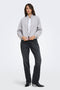 Front image of a model wearing the Nadja ls zip sweat in grey, by brand Only